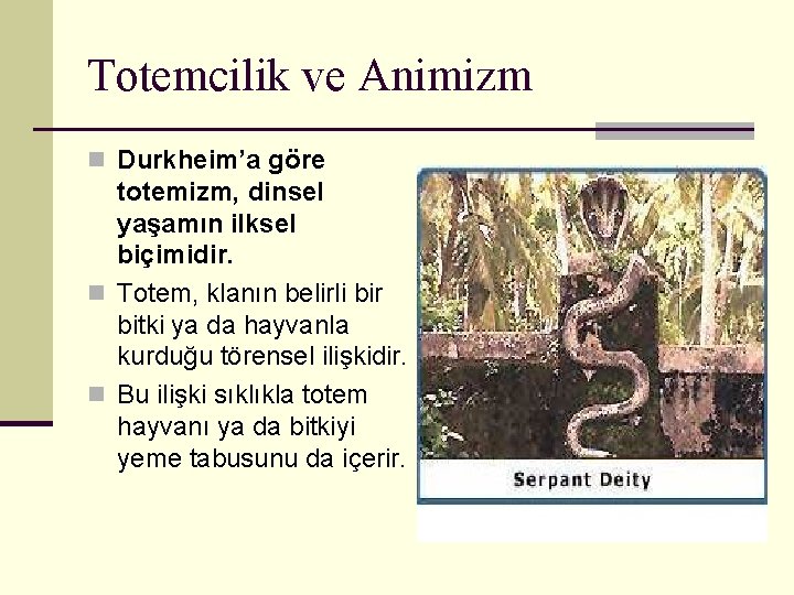 Totemcilik ve Animizm n Durkheim’a göre totemizm, dinsel yaşamın ilksel biçimidir. n Totem, klanın