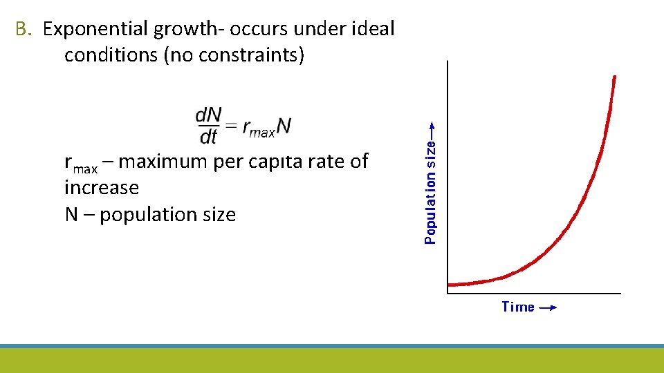 B. Exponential growth- occurs under ideal conditions (no constraints) rmax – maximum per capita