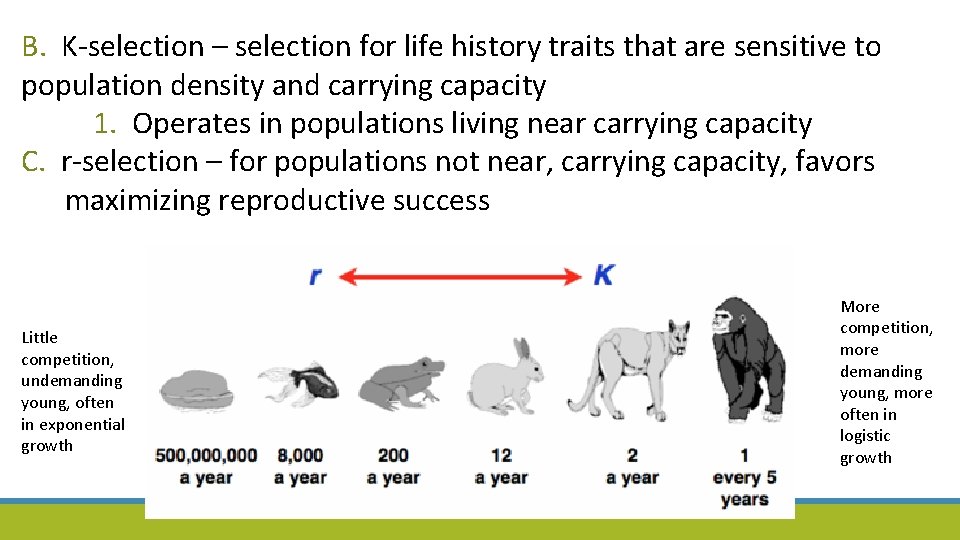 B. K-selection – selection for life history traits that are sensitive to population density