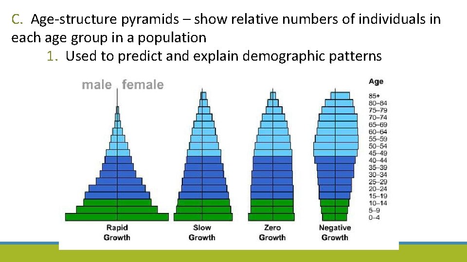 C. Age-structure pyramids – show relative numbers of individuals in each age group in