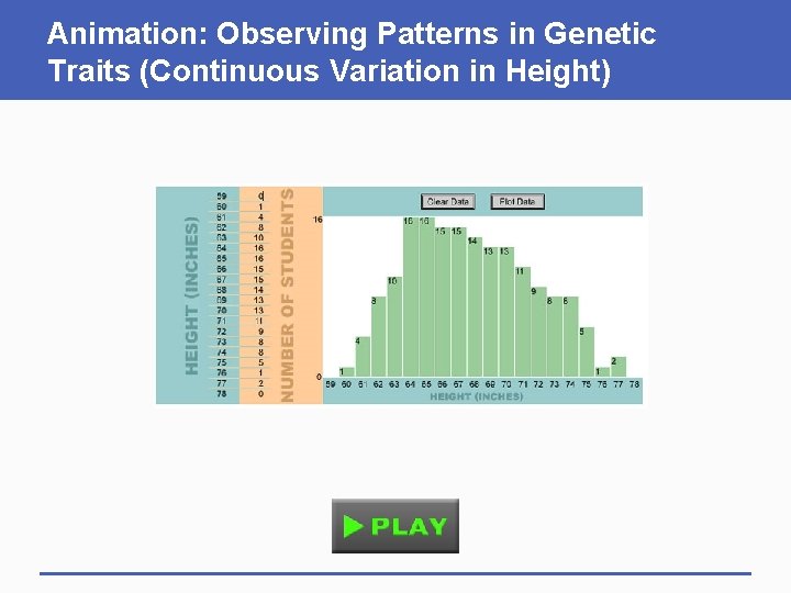 Animation: Observing Patterns in Genetic Traits (Continuous Variation in Height) 