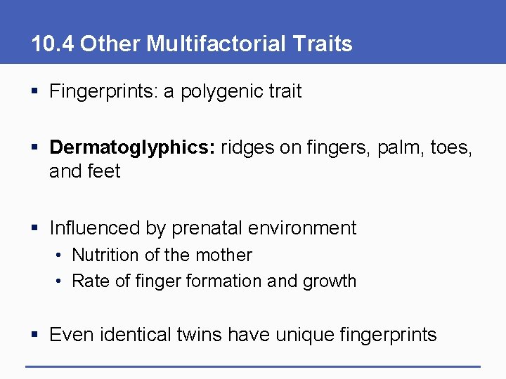 10. 4 Other Multifactorial Traits § Fingerprints: a polygenic trait § Dermatoglyphics: ridges on