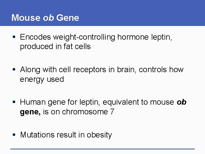 Mouse ob Gene § Encodes weight-controlling hormone leptin, produced in fat cells § Along