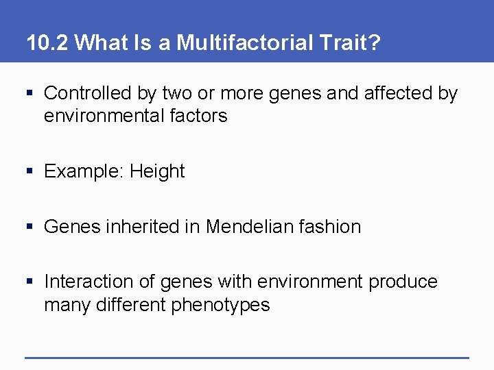 10. 2 What Is a Multifactorial Trait? § Controlled by two or more genes