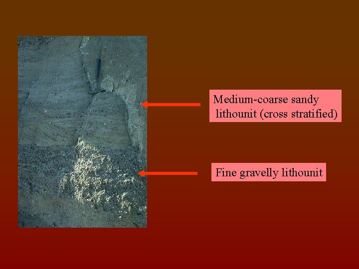 Medium-coarse sandy lithounit (cross stratified) Fine gravelly lithounit 