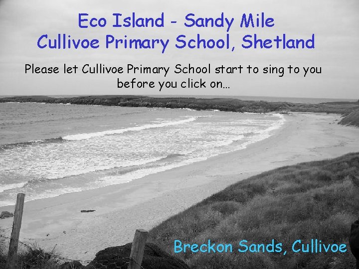 Eco Island - Sandy Mile Cullivoe Primary School, Shetland Please let Cullivoe Primary School