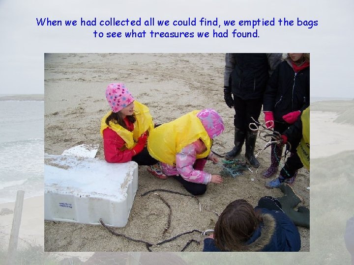 When we had collected all we could find, we emptied the bags to see