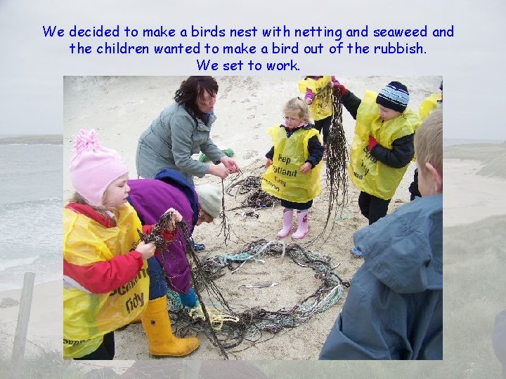 We decided to make a birds nest with netting and seaweed and the children