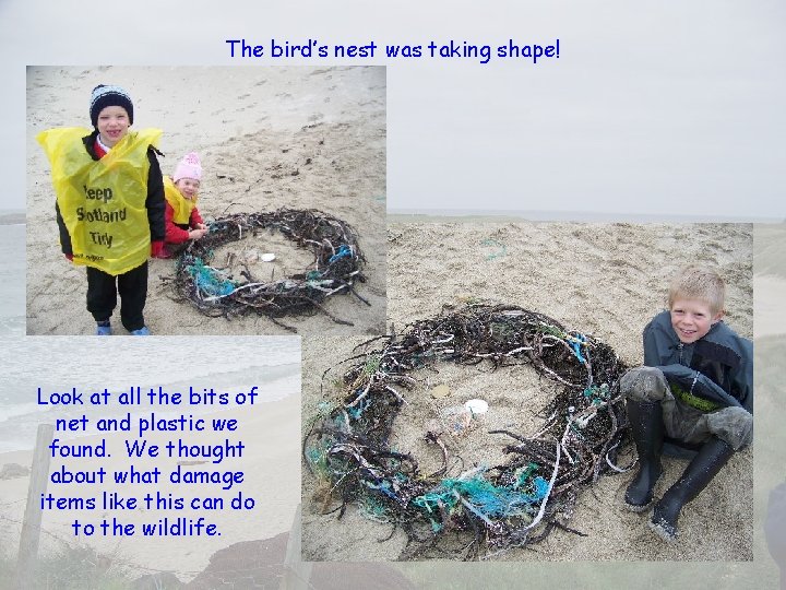 The bird’s nest was taking shape! Look at all the bits of net and