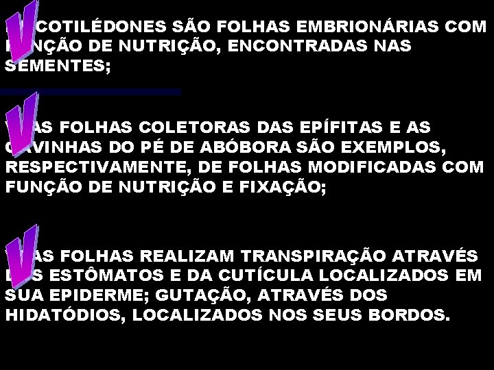 IV. COTILÉDONES SÃO FOLHAS EMBRIONÁRIAS COM FUNÇÃO DE NUTRIÇÃO, ENCONTRADAS NAS SEMENTES; V. AS