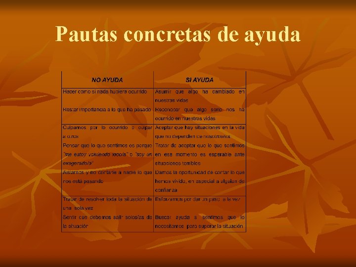 Pautas concretas de ayuda 