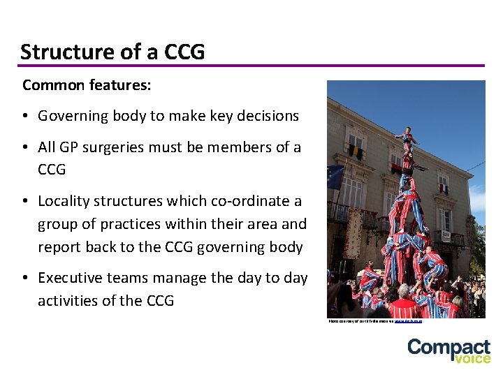 Structure of a CCG Common features: • Governing body to make key decisions •