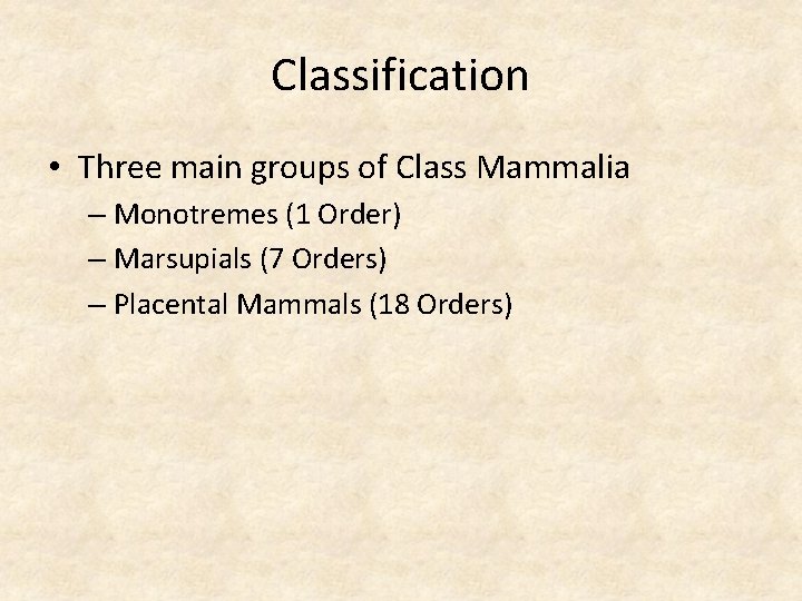 Classification • Three main groups of Class Mammalia – Monotremes (1 Order) – Marsupials