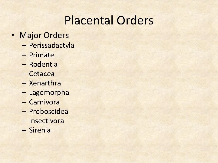 Placental Orders • Major Orders – Perissadactyla – Primate – Rodentia – Cetacea –