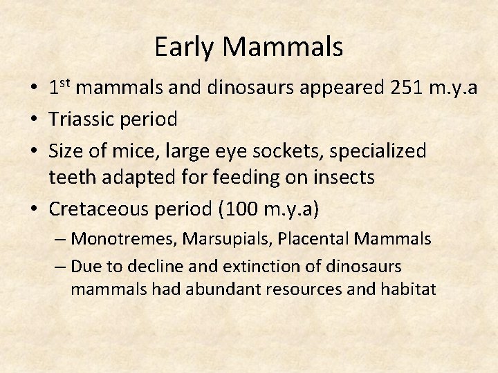 Early Mammals • 1 st mammals and dinosaurs appeared 251 m. y. a •