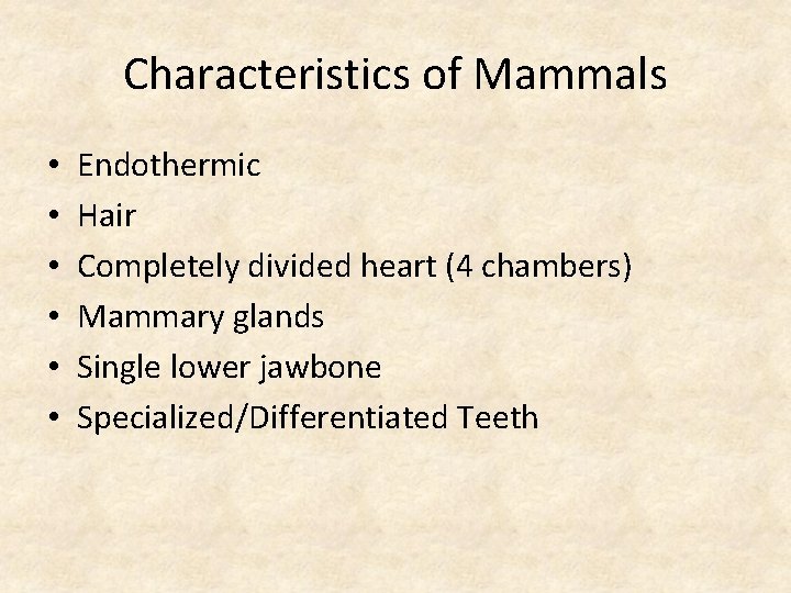 Characteristics of Mammals • • • Endothermic Hair Completely divided heart (4 chambers) Mammary