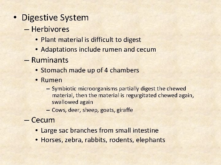  • Digestive System – Herbivores • Plant material is difficult to digest •