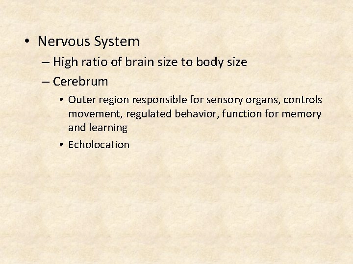  • Nervous System – High ratio of brain size to body size –