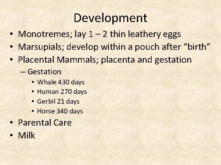Development • Monotremes; lay 1 – 2 thin leathery eggs • Marsupials; develop within