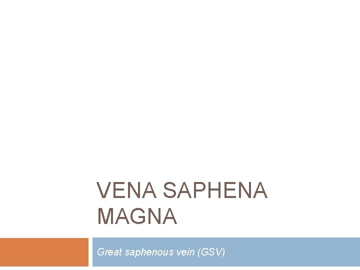 VENA SAPHENA MAGNA Great saphenous vein (GSV) 