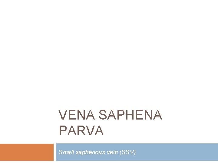 VENA SAPHENA PARVA Small saphenous vein (SSV) 