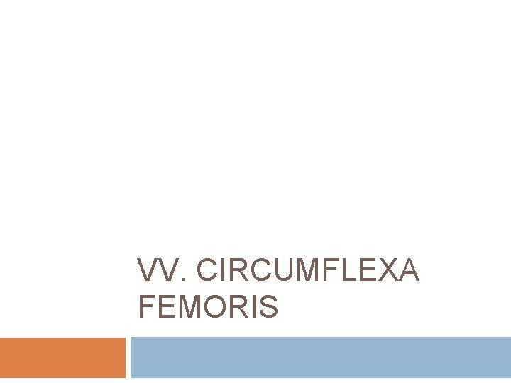 VV. CIRCUMFLEXA FEMORIS 