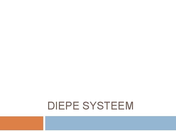 DIEPE SYSTEEM 