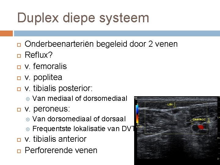 Duplex diepe systeem Onderbeenarteriën begeleid door 2 venen Reflux? v. femoralis v. poplitea v.