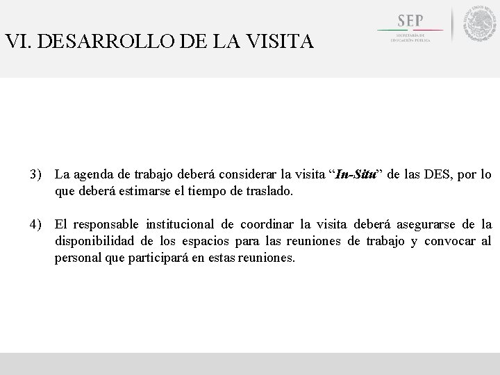 VI. DESARROLLO DE LA VISITA 3) La agenda de trabajo deberá considerar la visita