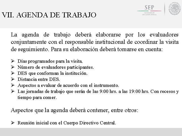 VII. AGENDA DE TRABAJO La agenda de trabajo deberá elaborarse por los evaluadores conjuntamente