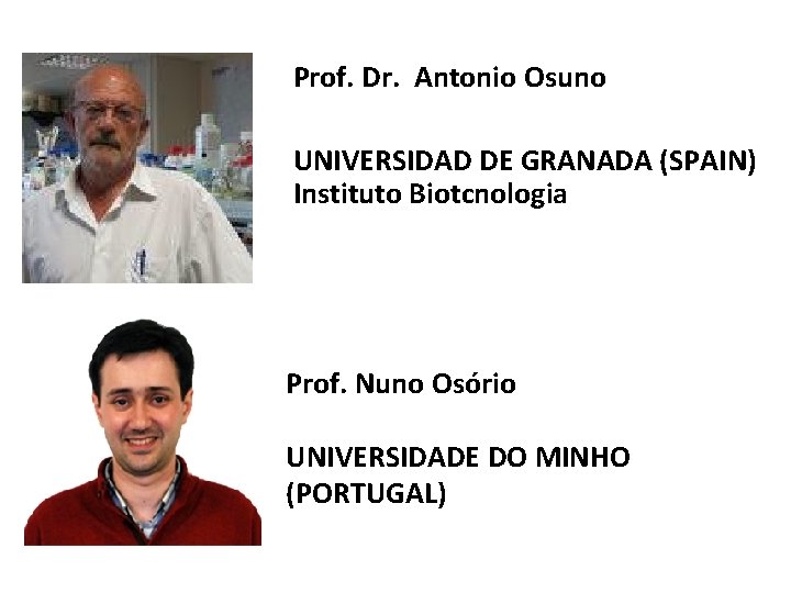 Prof. Dr. Antonio Osuno UNIVERSIDAD DE GRANADA (SPAIN) Instituto Biotcnologia Prof. Nuno Osório UNIVERSIDADE