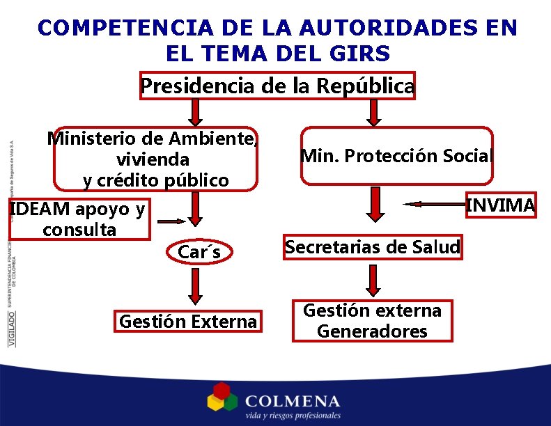 COMPETENCIA DE LA AUTORIDADES EN EL TEMA DEL GIRS Presidencia de la República Ministerio COMPETENCIA DE LA AUTORIDADES EN EL TEMA DEL GIRS Presidencia de la República Ministerio