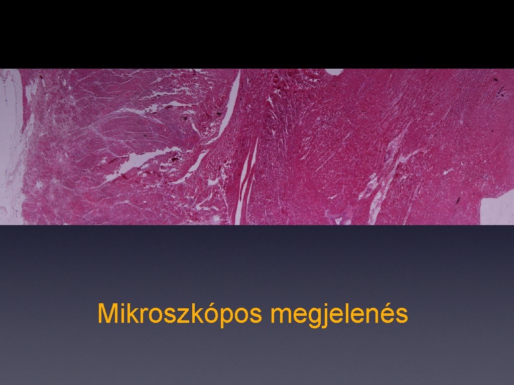 Mikroszkópos megjelenés 