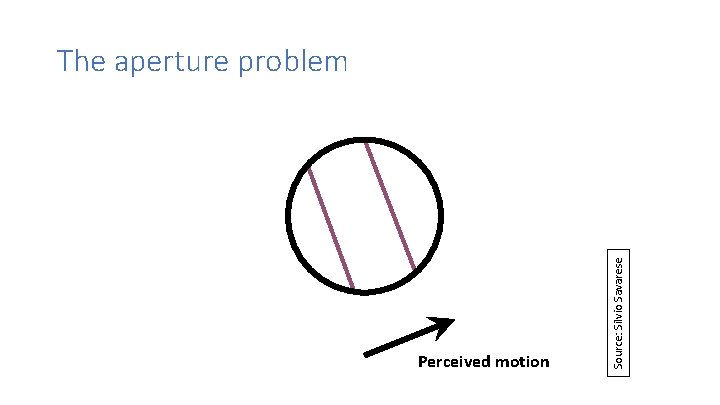 Perceived motion Source: Silvio Savarese The aperture problem 