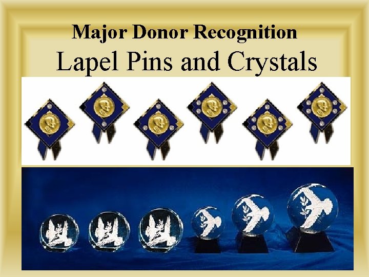 Major Donor Recognition Lapel Pins and Crystals 