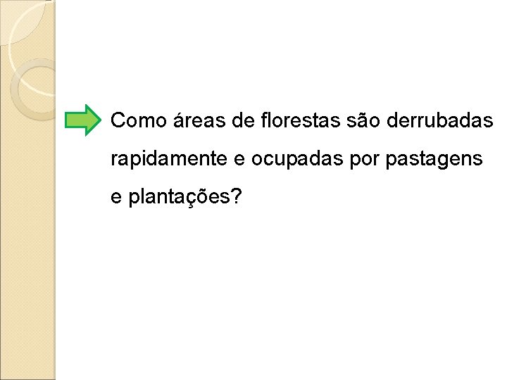 Como áreas de florestas são derrubadas rapidamente e ocupadas por pastagens e plantações? 