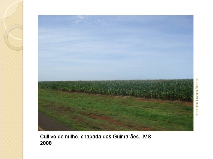 Anselmo Lazaro Branco Cultivo de milho, chapada dos Guimarães, MS, 2008 