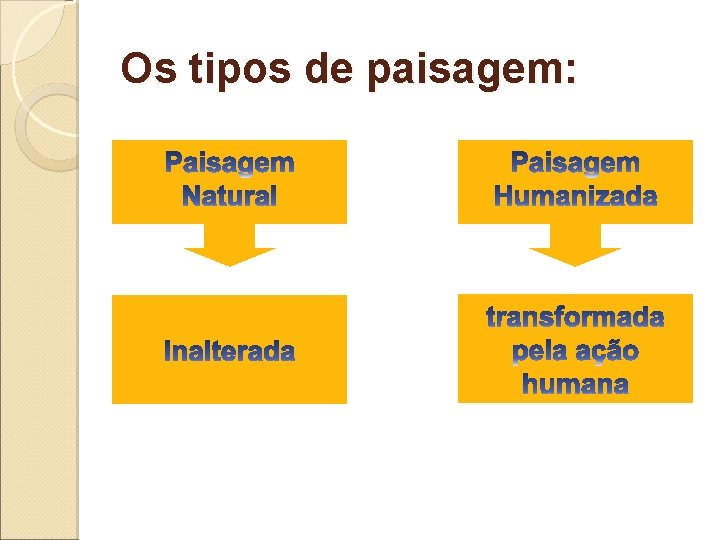 Os tipos de paisagem: 