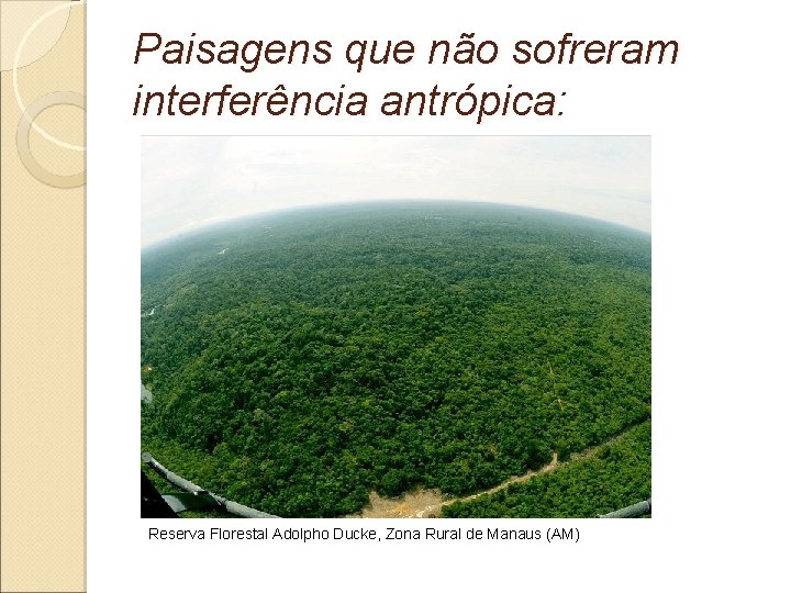 Paisagens que não sofreram interferência antrópica: Reserva Florestal Adolpho Ducke, Zona Rural de Manaus