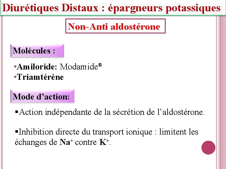 Diurétiques Distaux : épargneurs potassiques Non-Anti aldostérone Molécules : • Amiloride: Modamide® • Triamtérène