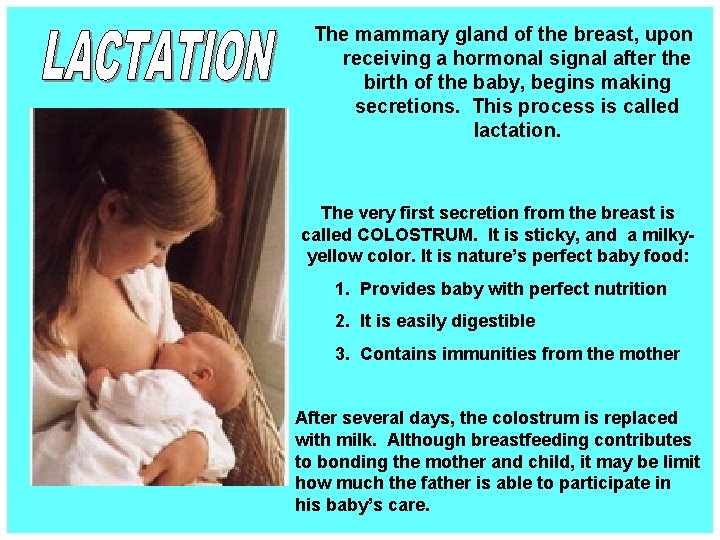 Within Seconds After Birth Of The Healthy Newborn