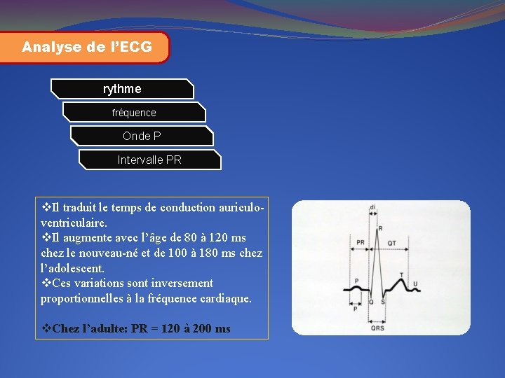 Analyse de l’ECG rythme fréquence Onde P Intervalle PR v. Il traduit le temps