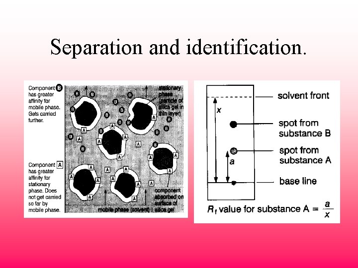 Separation and identification. 