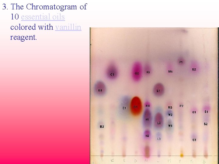 3. The Chromatogram of 10 essential oils colored with vanillin reagent. 