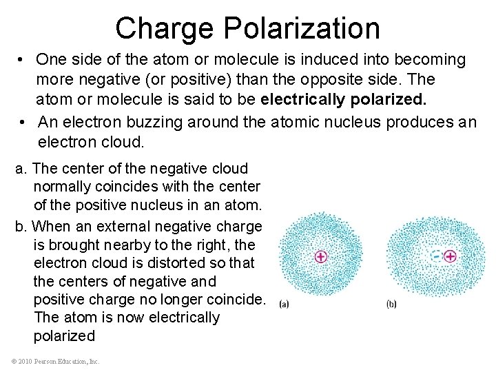 Charge Polarization • One side of the atom or molecule is induced into becoming