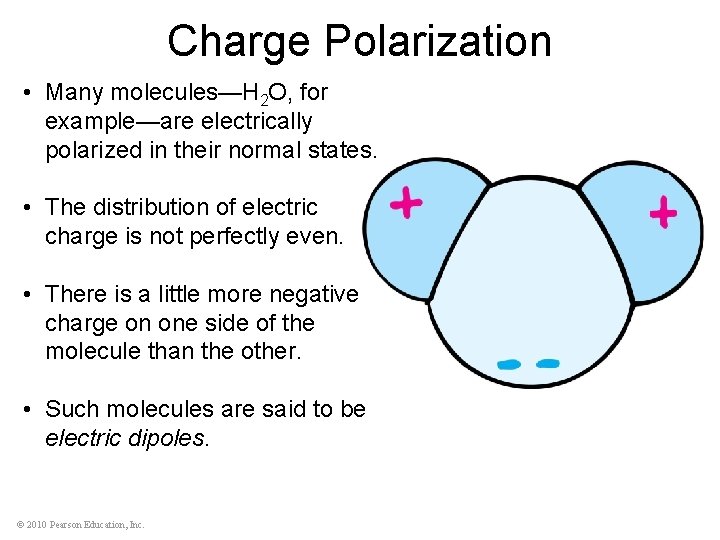 Charge Polarization • Many molecules—H 2 O, for example—are electrically polarized in their normal