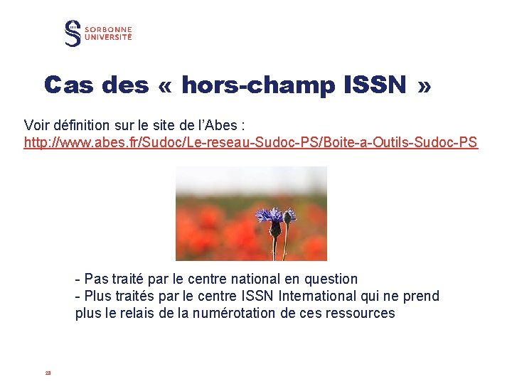 Cas des « hors-champ ISSN » Voir définition sur le site de l’Abes :