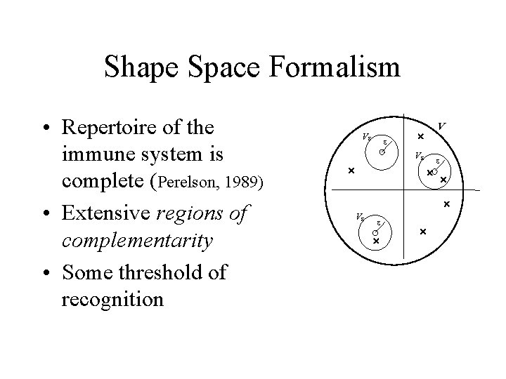 Shape Space Formalism • Repertoire of the immune system is complete (Perelson, 1989) •