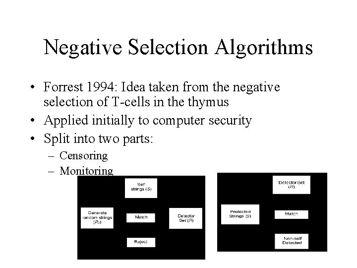 Negative Selection Algorithms • Forrest 1994: Idea taken from the negative selection of T-cells