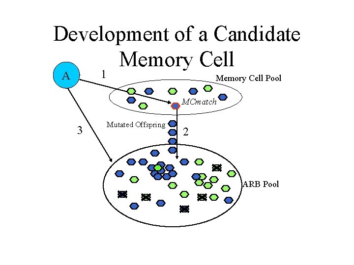 Development of a Candidate Memory Cell 1 A Memory Cell Pool MCmatch 3 Mutated